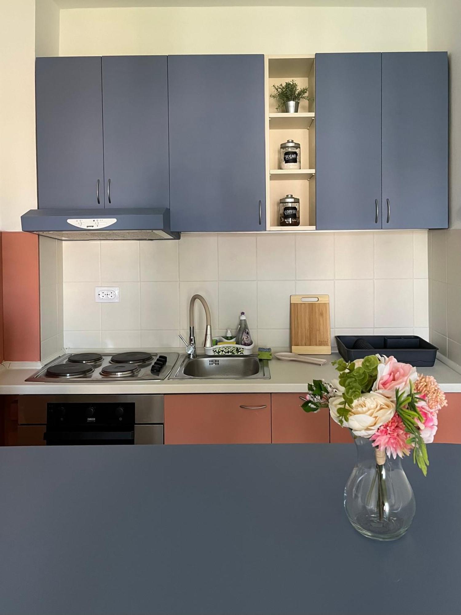 Apartment Vera With Free Garage Нови-Сад Экстерьер фото