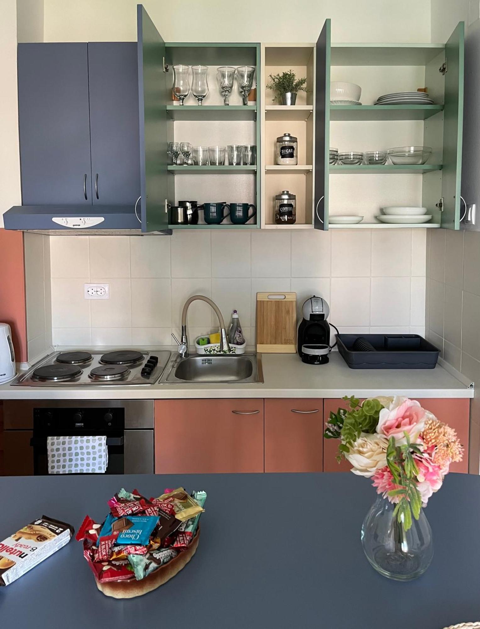 Apartment Vera With Free Garage Нови-Сад Экстерьер фото